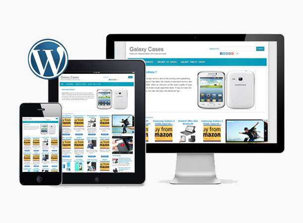 AZonPress - Amazon Store Theme For Wordpress